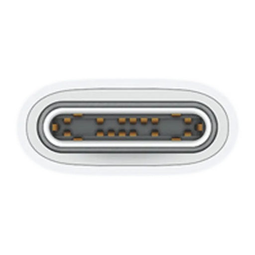 Apple Type C to Type C 3.2 Feet (1M) Charging Cable