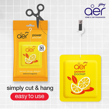 Godrej Tangy Delight Blocks Aer Power Pocket Tangy Delight  (6 x 10 g)